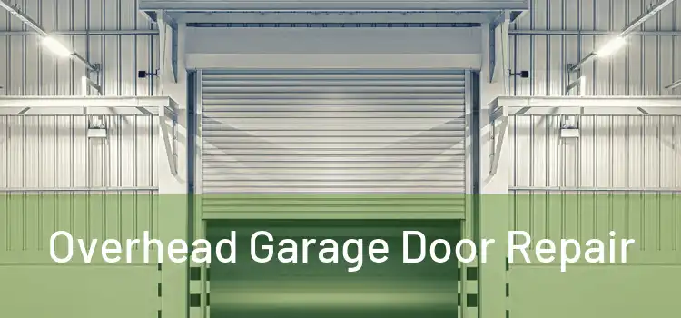  Overhead Garage Door Repair 